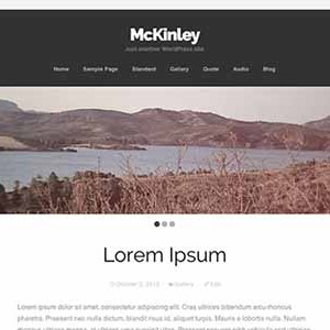 Website giới thiệu thông tin đẹp mẫu Mckinley