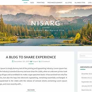 Website mẫu Nisarg