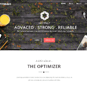 Website mẫu Optimizer