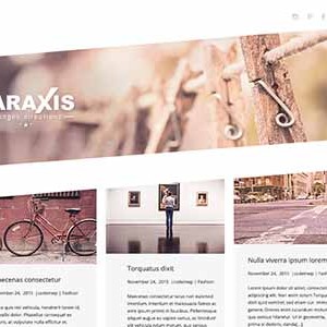 Website mẫu Paraxis Lite