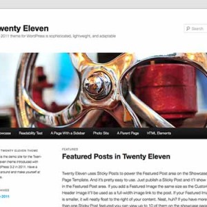 Website theo mẫu Twenty Eleven