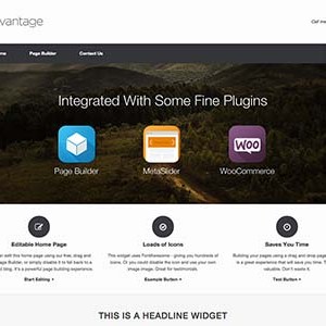 Website mẫu Vantage